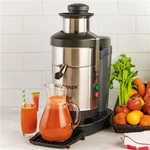Juicer Spares